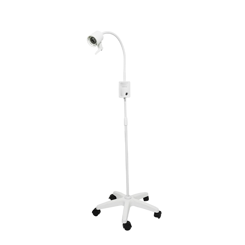 Baterie de rezervă încorporată de 3 W Lampă de examinare cu gât de găină cu LED Baterie de rezervă încorporată de 3 W Lampă de examinare cu gât de găină cu LED